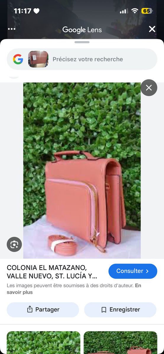 Sac Bandoulière Élégant Femme