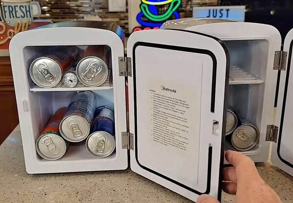 Mini réfrigérateur 5L pour voiture - SILVER LOVE