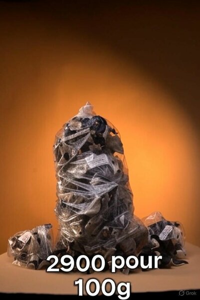 Champignons séchés premium 100g