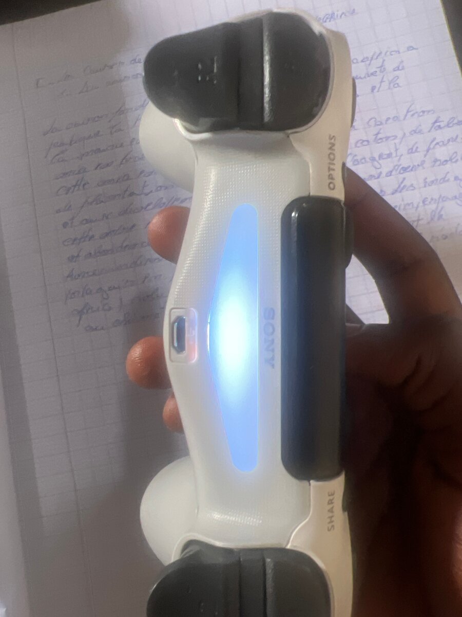 Manette PS4 sans fil Sony