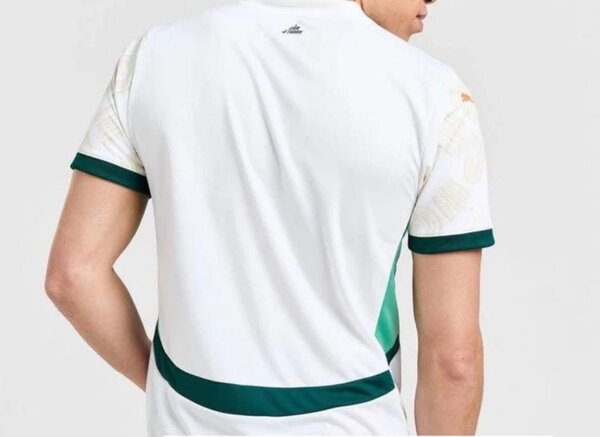 Maillot Côte d'Ivoire