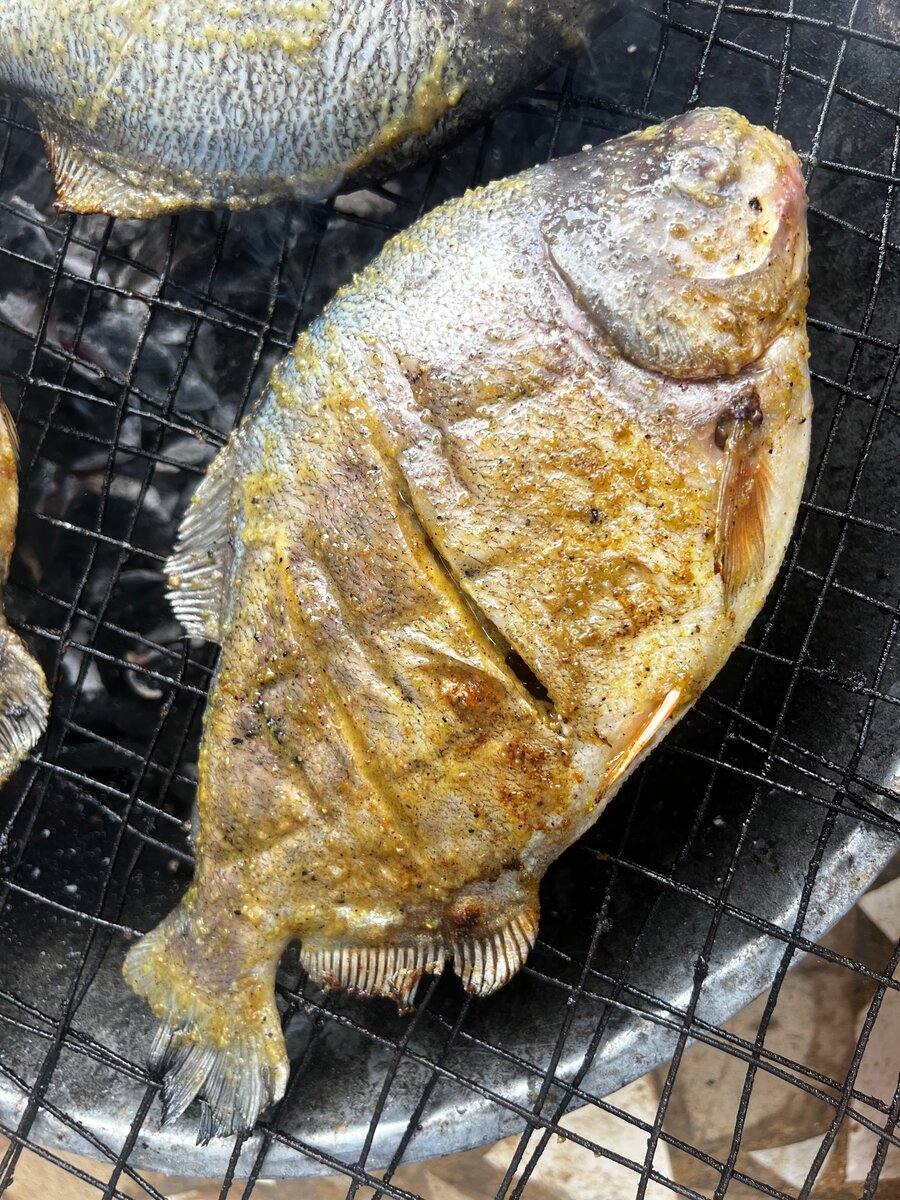 Poisson Grillé Fraîchement Préparé