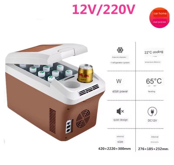 Mini Réfrigérateur Portable 12V/220V