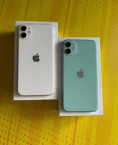 iPhone 11 - Blanc et Vert