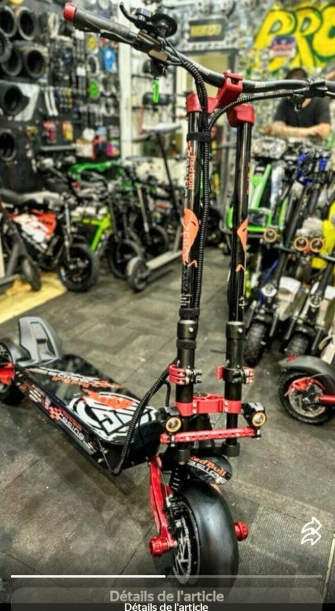 Trottinette Électrique Puissante