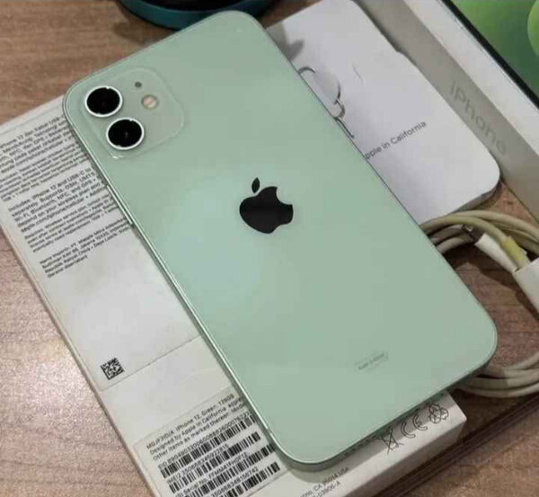 iPhone 12 Vert 128 Go
