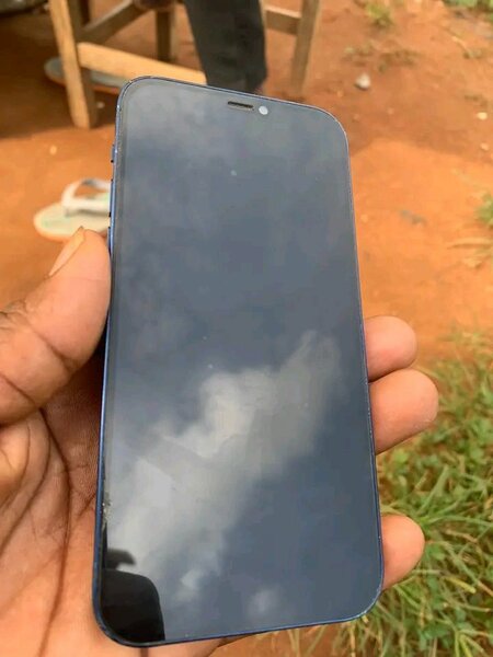 iPhone 12 256Go Bleu