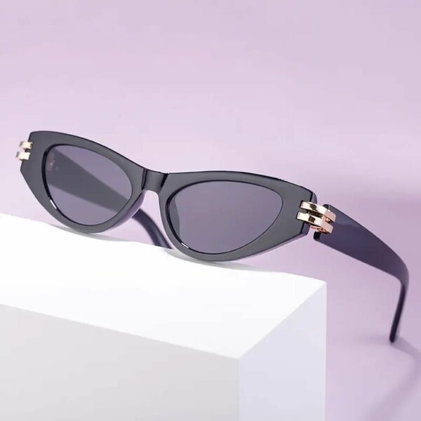 Lunettes de soleil rétro chic