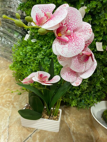 Orchidées Artificielles Décoratives