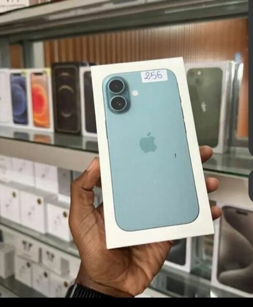 iPhone 256 Go Bleu