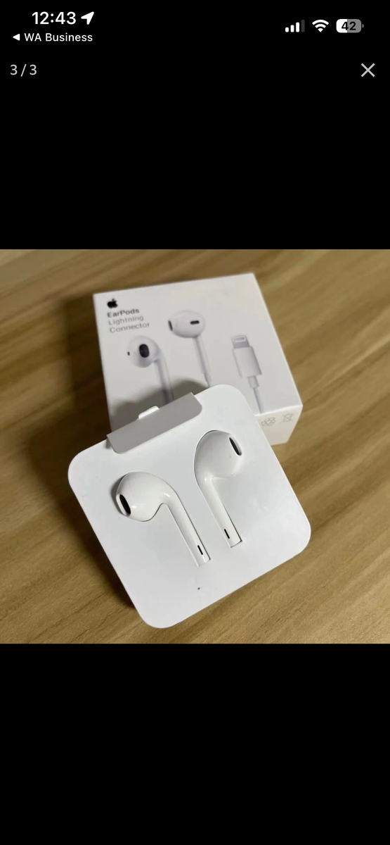 Écouteurs Filaires Apple