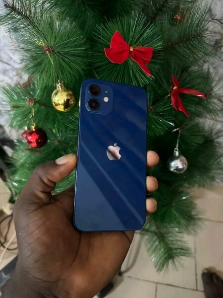 iPhone 12 Bleu Débloqué