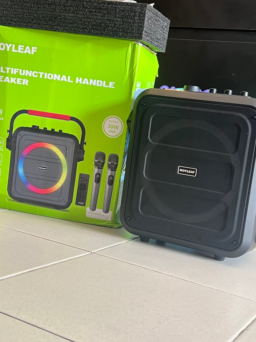 Enceinte portable Moyleaf 30W