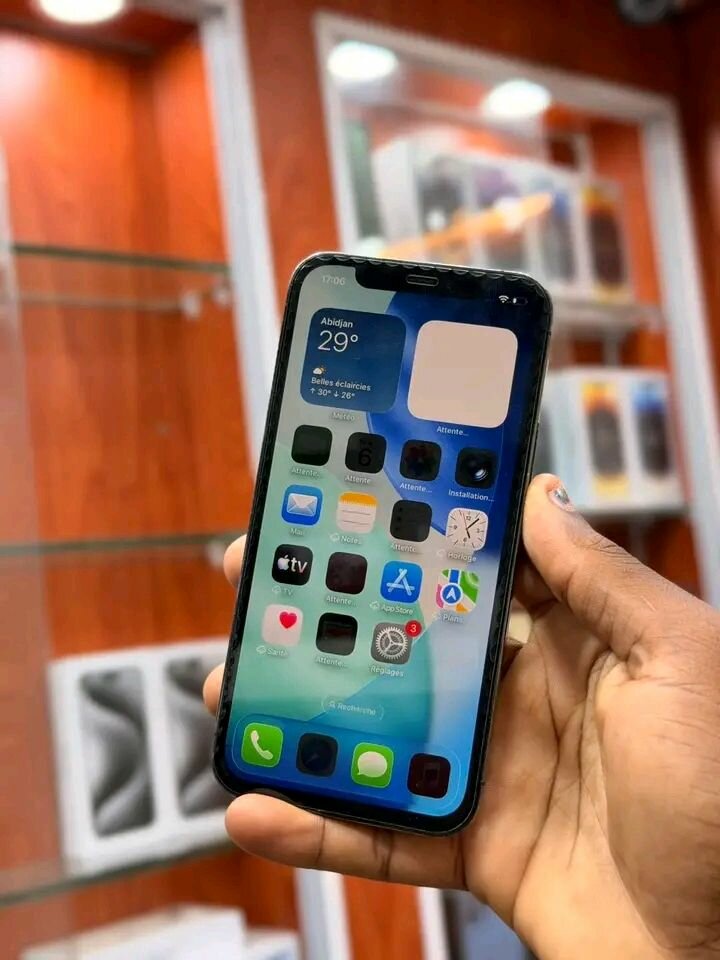 iPhone 12 Pro Gris