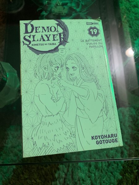 Demon Slayer Tome 19