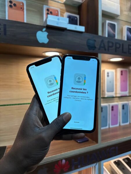 iPhone XR Double Choix
