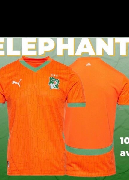 Maillot de football éléphants