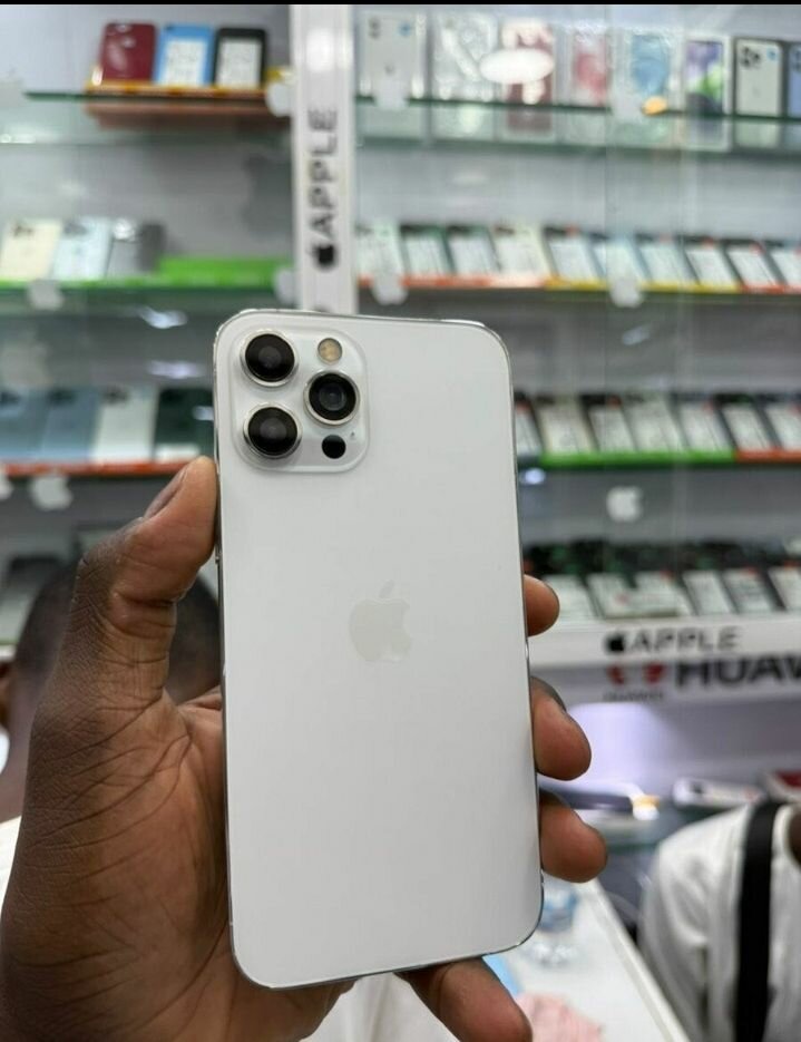 iPhone 13 Pro Max Argent