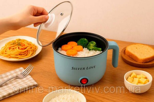 Cuiseur Électrique Silver Love