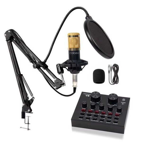 Microphone studio professionnel