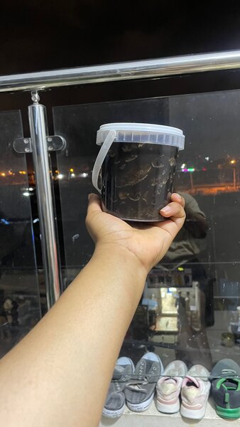 Délices tropicaux en bocal