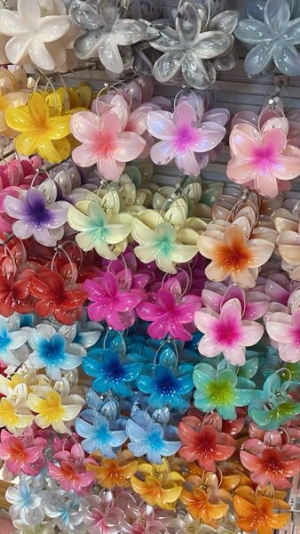 Pinces à cheveux fleurs colorées