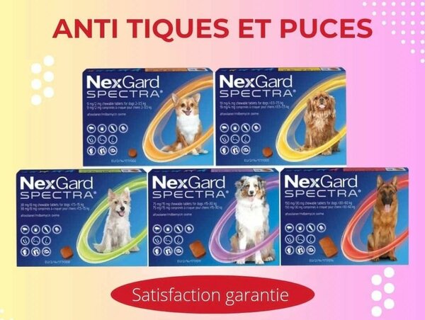 NexGard Spectra Anti-Puces Chiens