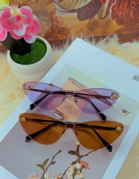 Lunettes de soleil élégantes