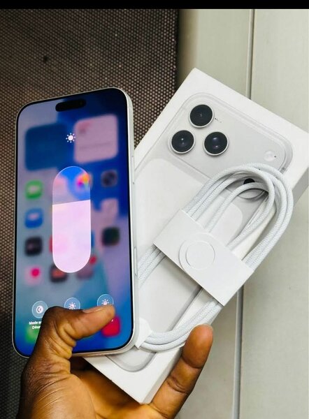 iPhone 14 Pro Max 256 Go Argent