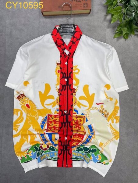 Chemise à motifs royaux