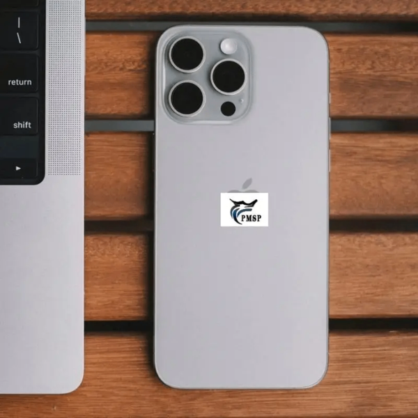 Smartphone élégant 6.1 pouces