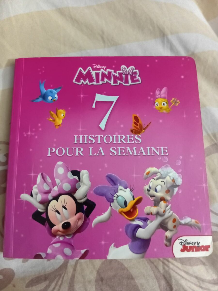Livre Minnie 7 Histoires