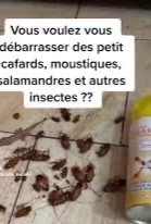 Insecticide aérosol MIRAKL 750ml