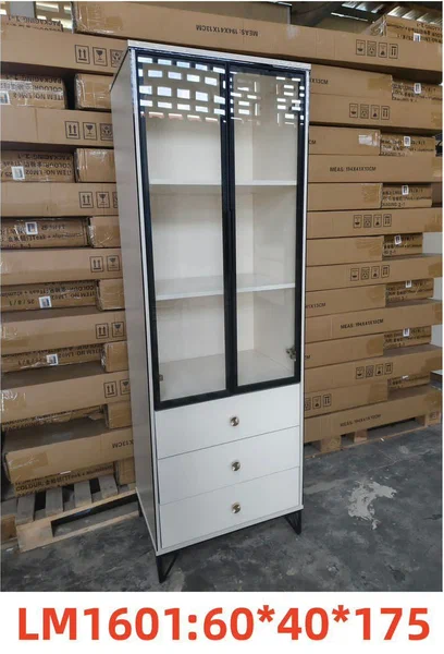 Vitrine moderne avec étagères