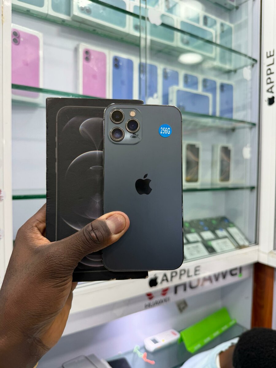 12 pro max 256 Go sans ID