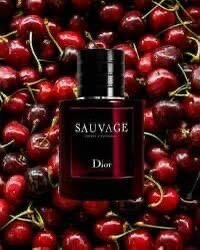 Parfum Sauvage Cherry