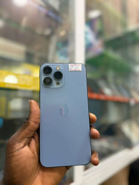 13Pro Max 256Go 2nd main