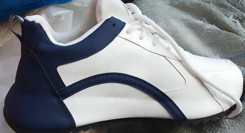 Baskets blanches et bleues