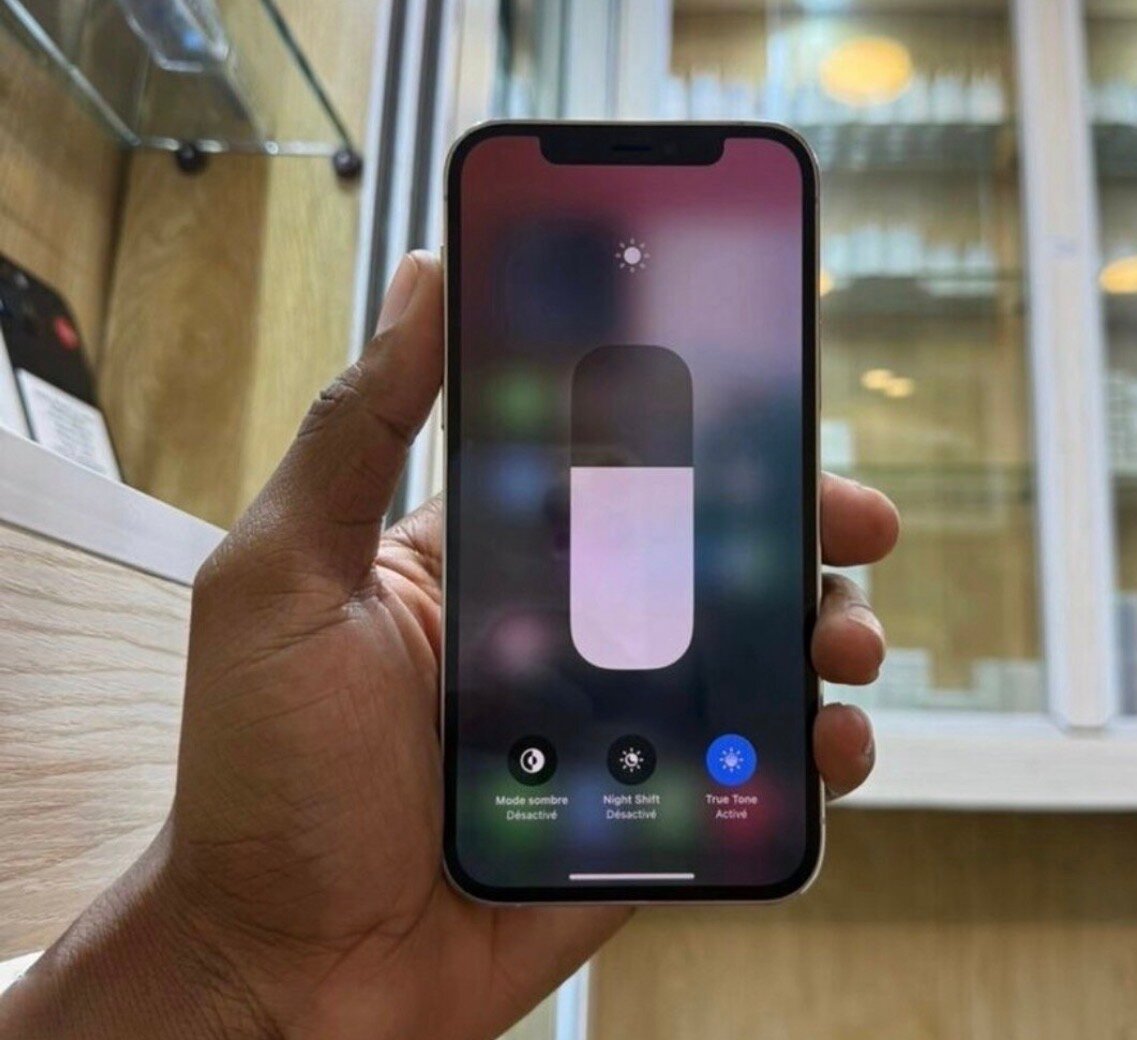 iPhone 12 Pro Blanc 256 Go