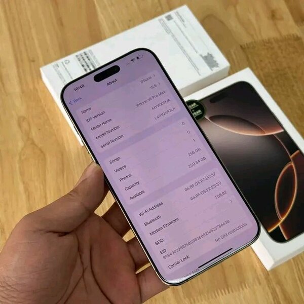 iPhone 13 Pro Max 256 Go