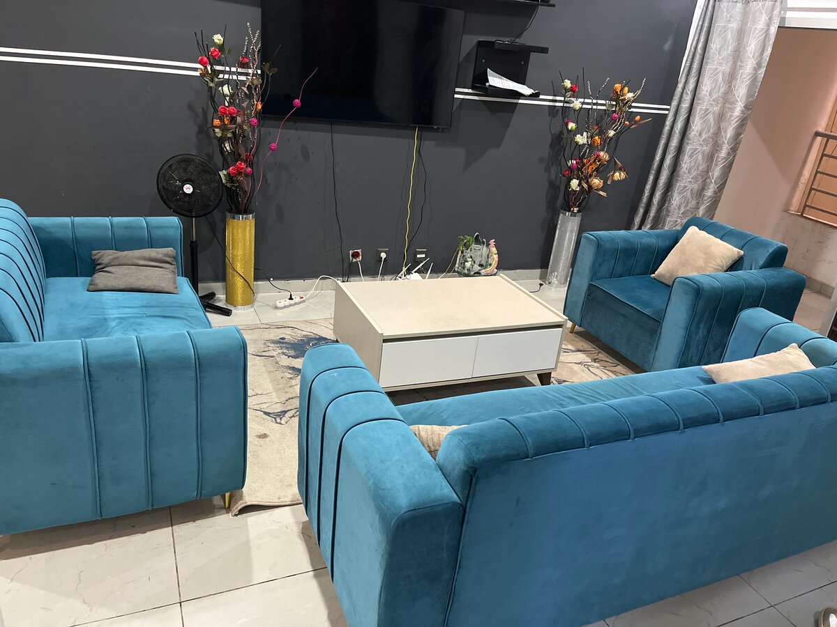 Ensemble Canapé Salon Velours