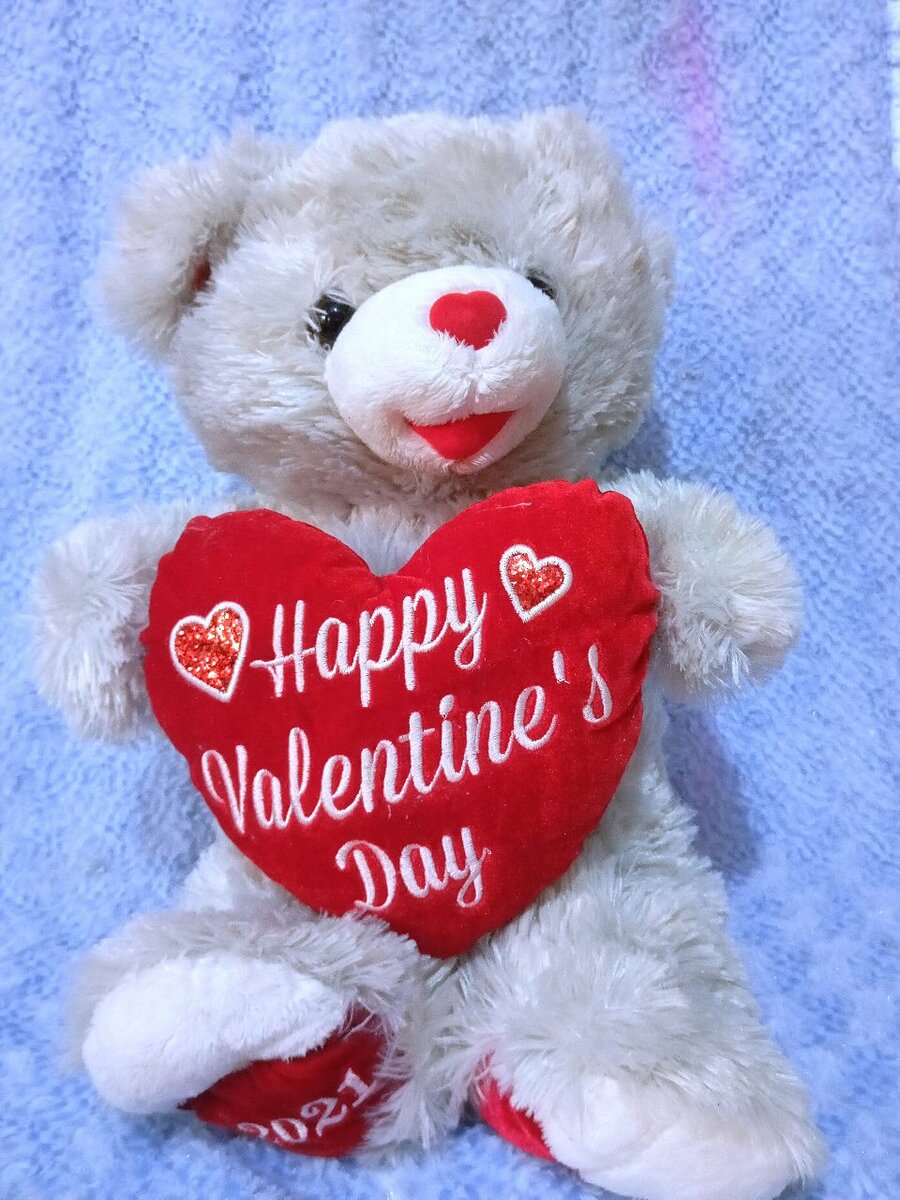 Ours en peluche Saint-Valentin