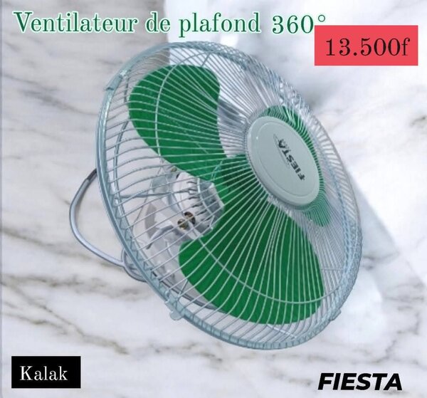 Ventilateur de Plafond 360°