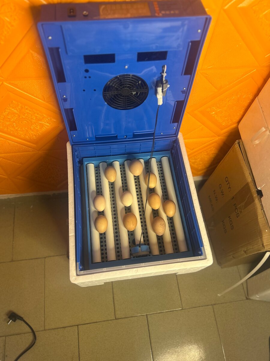 Incubateur Automatique 36 Œufs