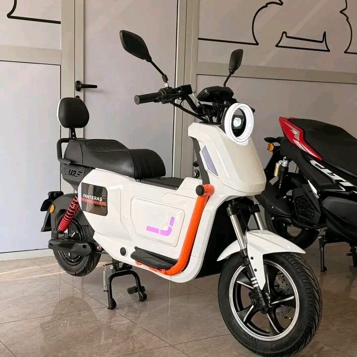 Scooter électrique PINTADAS