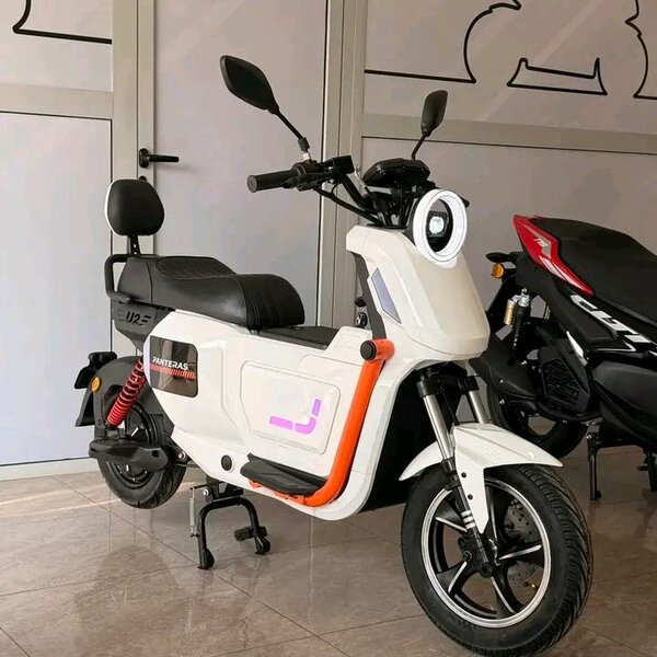Scooter électrique PINTADAS