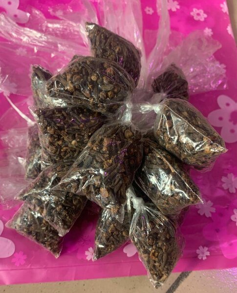 Graines Séchées Naturelles