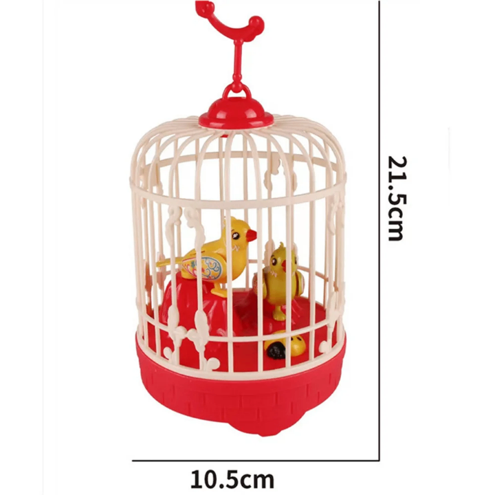 Cage musicale éducative LED