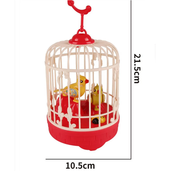 Cage musicale éducative LED