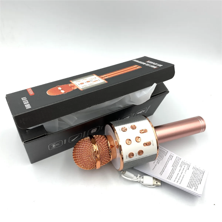 Microphone Karaoke Sans Fil HiFi